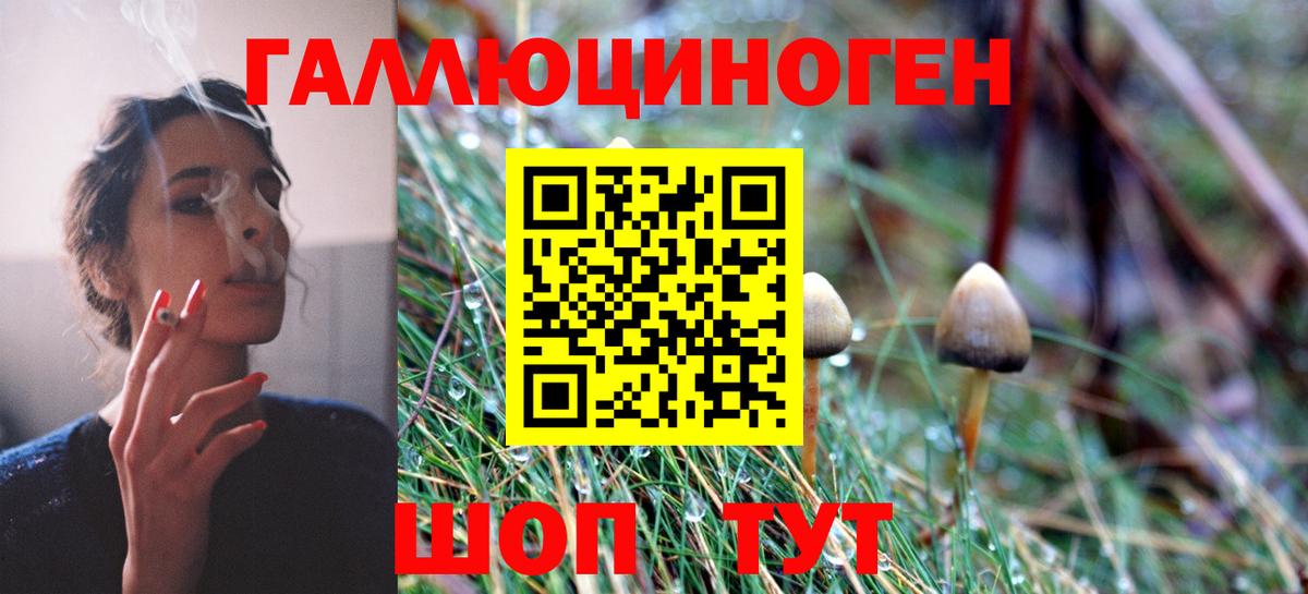 Воронеж  Галлюциногенные грибы мухоморы  Псилоцибиновые грибы мухоморы  Вход с VPN 